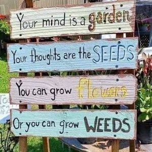 Meet your Posher, Rita